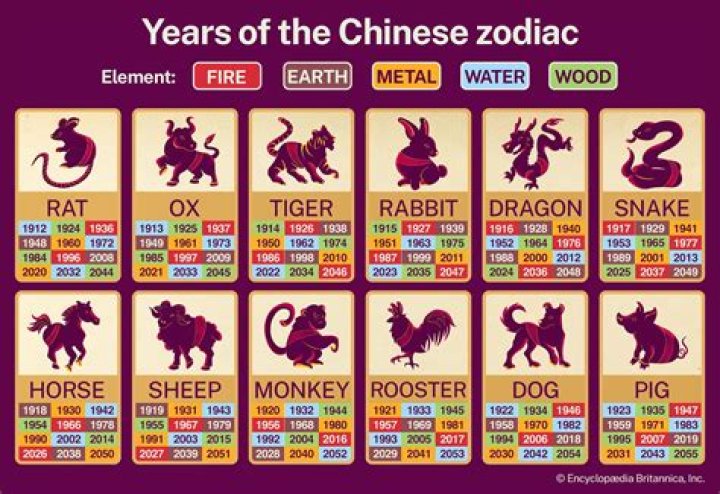Discover the Mystical Power of the Chinese Zodiac 1991 Element