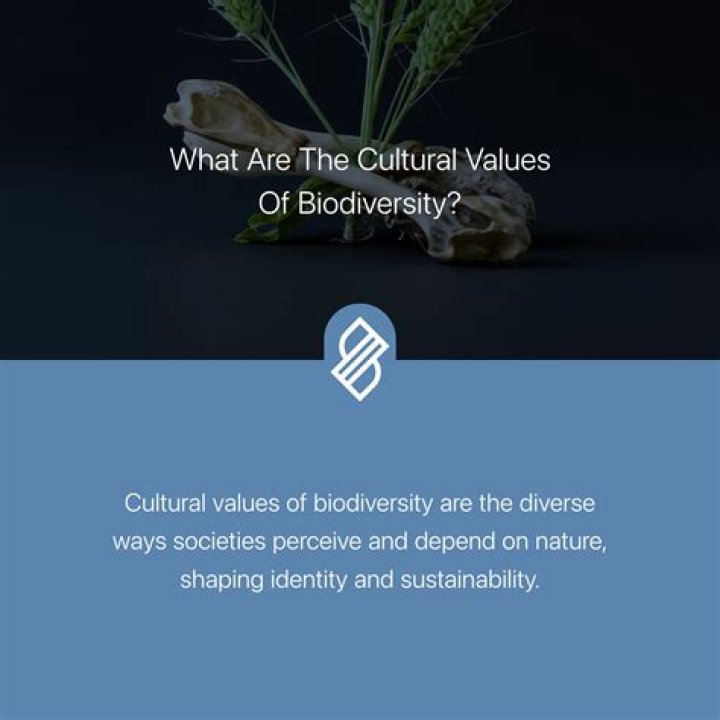 What Does Stefussy Mean? Unveiling the Trendy Term and Its Cultural Impact